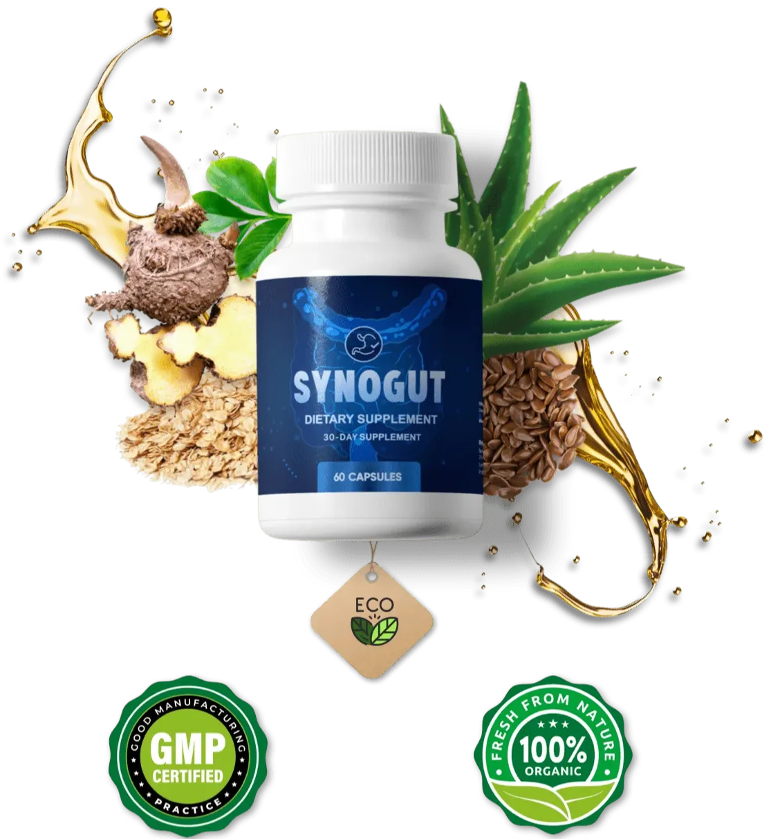 Synogut